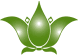 The Herbal Emporium