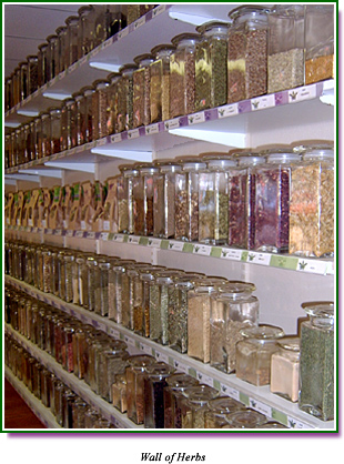 Wall of herbs ready for blending